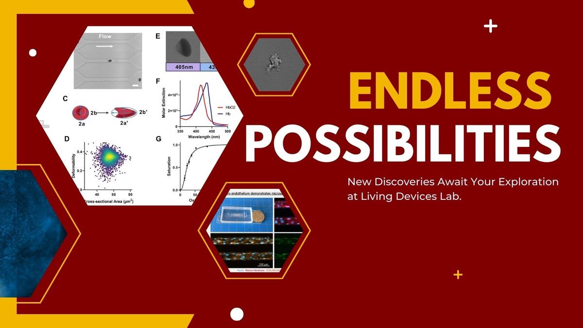 Endless Possibilities at the Living Devices Lab 